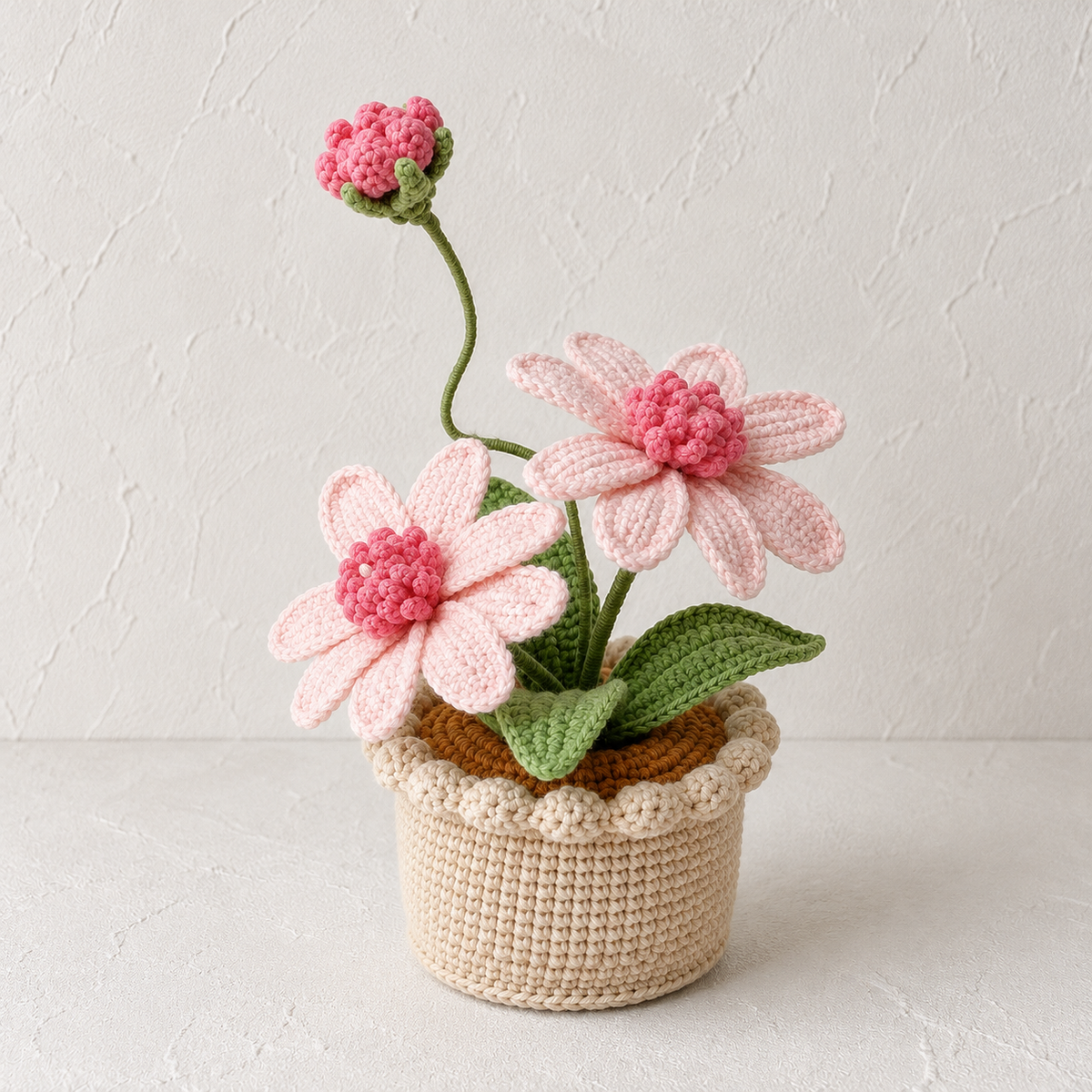 Handmade Crochet Cosmos Aster in Crochet Pot
