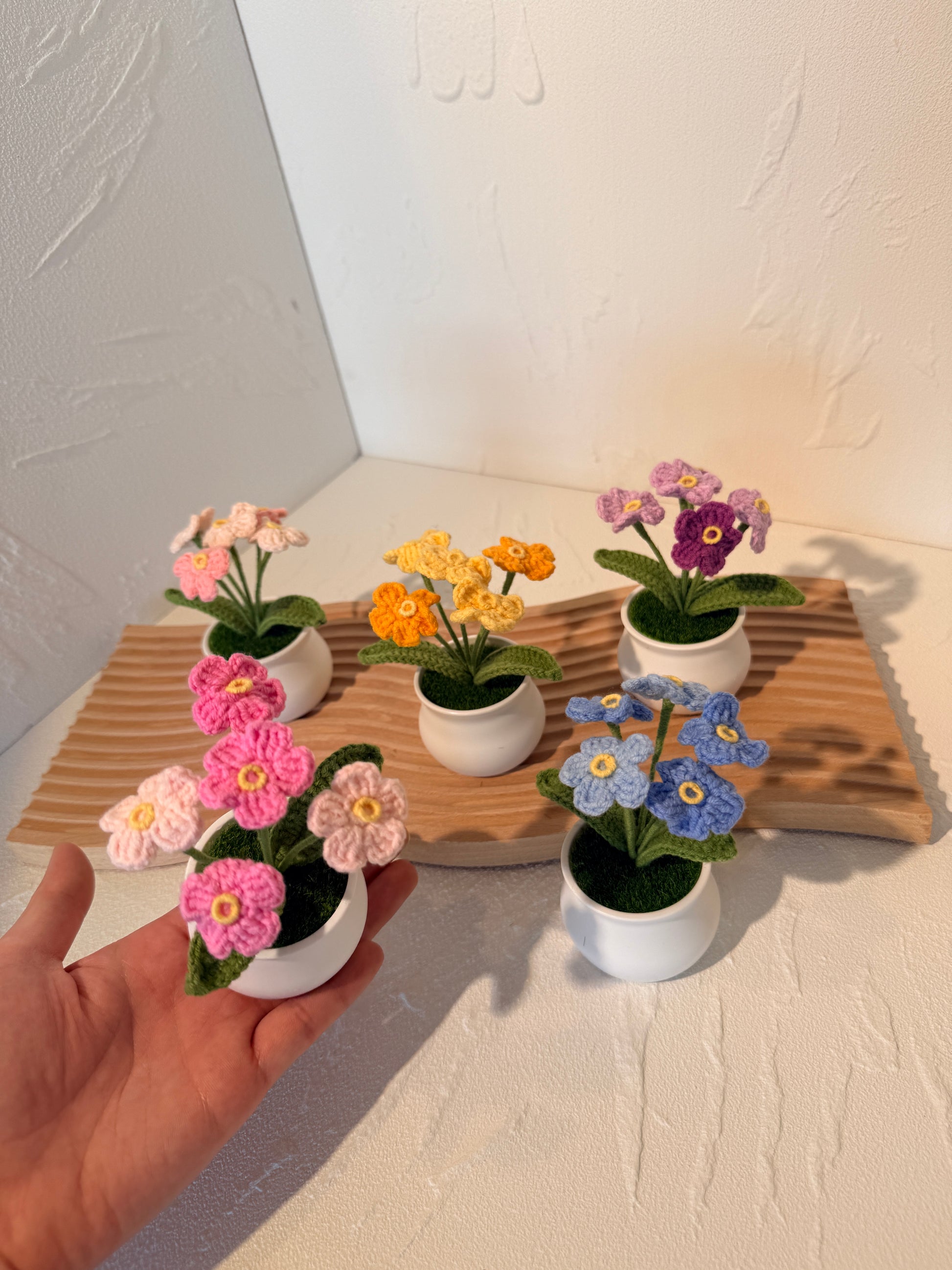 small potted flowers on a wooden board against a white wall.