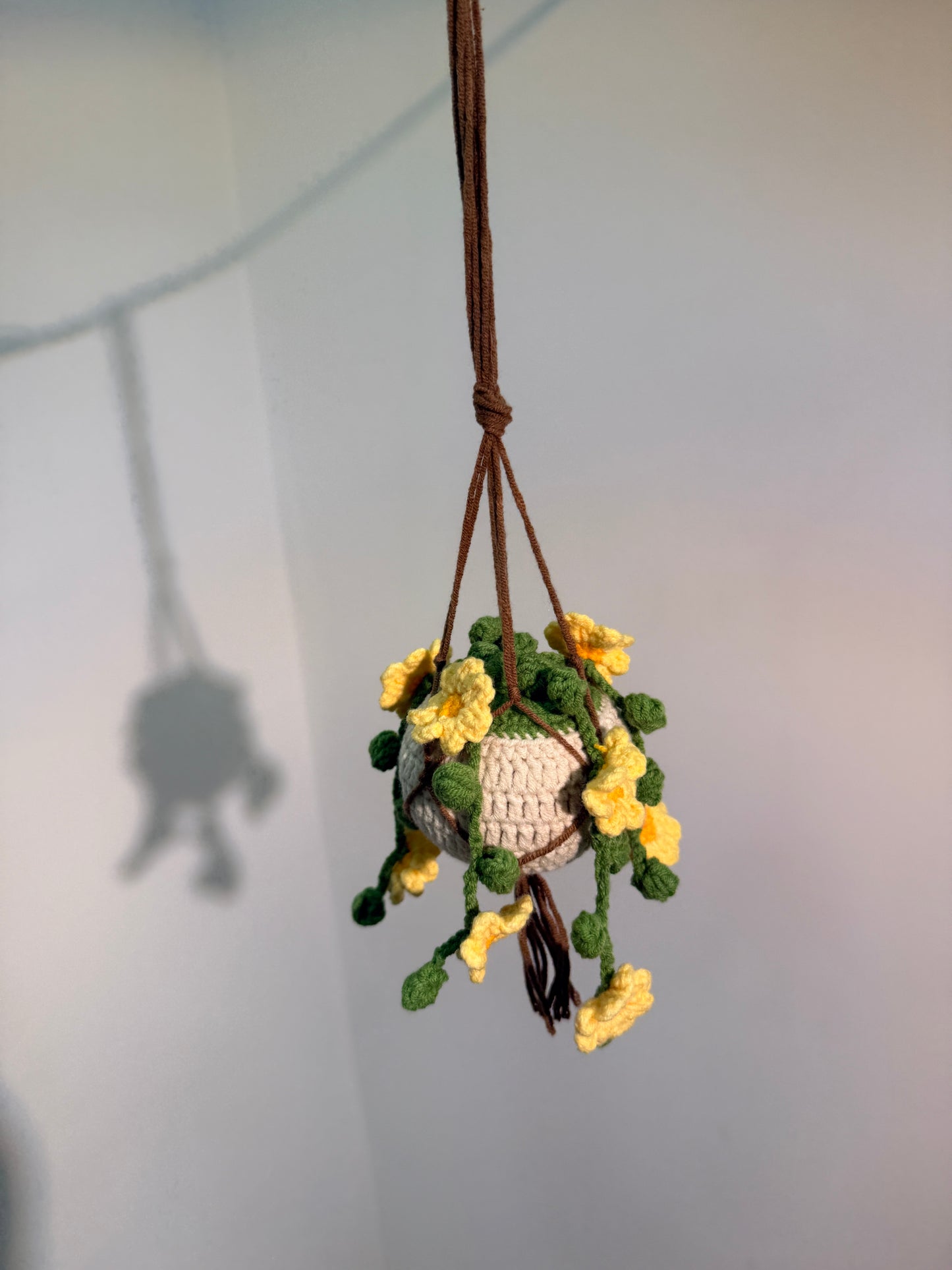 Crochet Hanging Pot with Flowers
