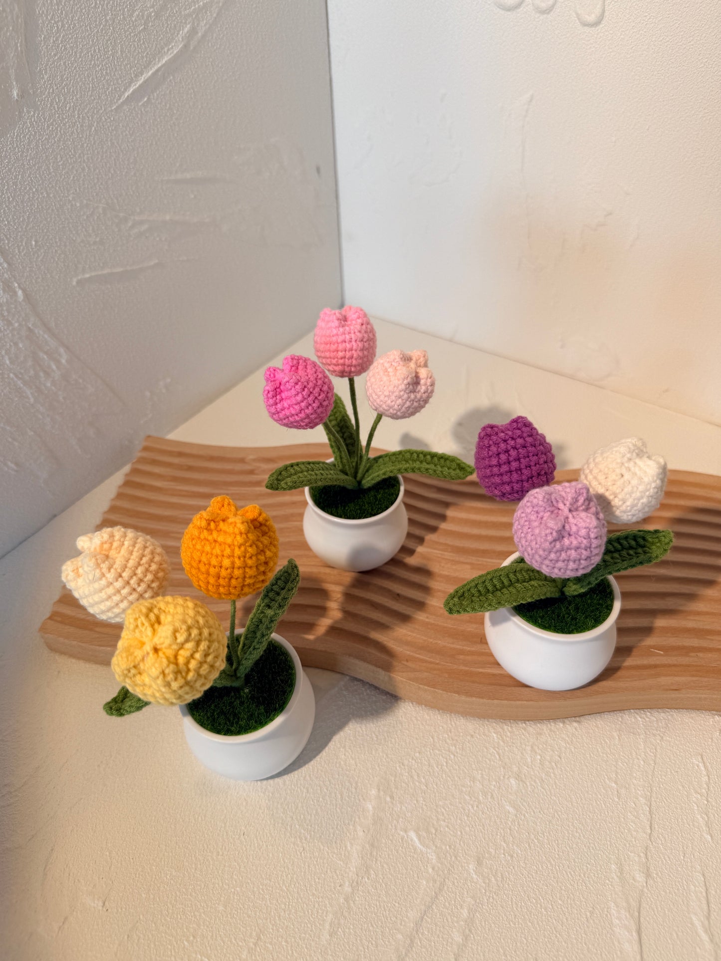 Decorative plants with colorful flowers on a wooden board against a neutral background