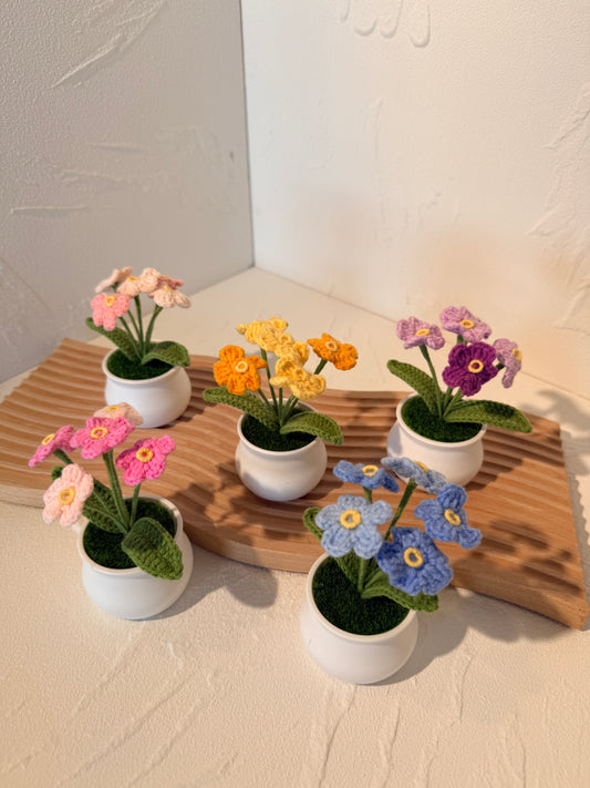 Decorative flower pots with colorful flowers on a wooden board.